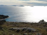 DSC05571